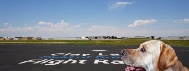 Furry Friends & Flyers