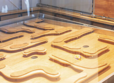 Exploration of Flight